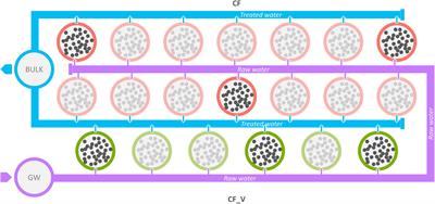 Different Effects of Mineral Versus Vegetal Granular Activated Carbon Filters on the Microbial Community Composition of a Drinking Water Treatment Plant
